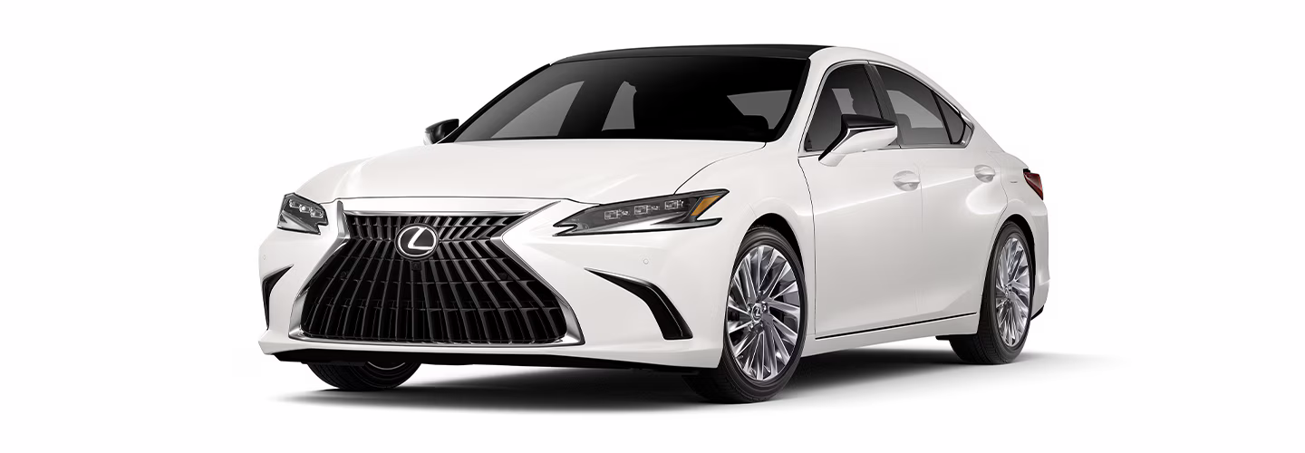 Sahara Motors branded car exporter & Dealer